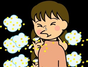 �@���̉ԕ��ǂɂ̓��[�U�[����