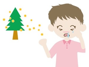 �ԕ��ǂ𔭏ǂ���i�K